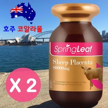 호주 양태반 90캡슐 80000mg 스프링리프 호주코알라몰 Springleaf Sheep Placenta, 2병, 90정, 90정
