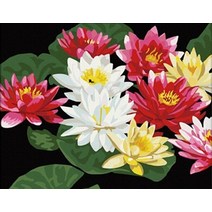 DIY 명화 그리기 세트 유화 페인팅 147 연꽃, 연못 드로잉 보드판+붓+물감세트_40X50