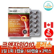 캐나다 코엔자임 q10 큐10 코큐 플러스 코쿠텐 코큐텐 맥스 유비퀴논 COENZYME 어른 시니어 어르신 할머니 할아버지 영양제, 2박스