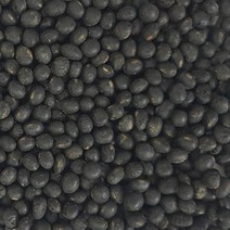 국산 전남 무안 황토밭 청약콩 1kg 콩가루볶음 서리태콩