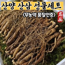 못난이 산양삼 산양 산삼 산양산삼 장뇌삼 5~6년근 6년근 국내산 실속형 고급 선물 세트, (3) 5~6년근 못난이 산양삼 (130g)
