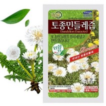 국내산 100% 참유원 알뜰형 토종흰민들레즙 100ML 60팩+5팩 하얀 민들레