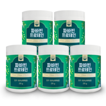 웰리즈 자이언트 파바빈 프로테인 210g 식물성 단백질 파바빈콩 분말 100%, 210g x 5통, 5개