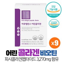 락토테미 하루 밸런스 어린콜라겐 피쉬콜라겐 펩타이드 비오틴 식약처 개별인정형 건강기능식품, 90g, 9박스