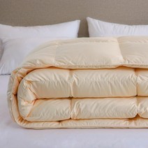 거위 털 필러 슈퍼 소프트 쉘 사각 격자 이불 겨울용 무거운 이불 2kg 3kg 4kg 무게 두꺼운, 01 White