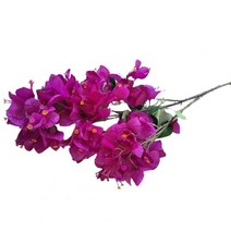 인테리어 조화 실크 부겐빌레아 glabra 꽃 부겐빌레아 speetabilis 꽃 가지, 보라색
