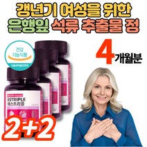 은행잎 석류 추출물 정 환 알약 엄마 아내 와이프 갱년기 여성 영양제 테아닌 홍경천 홍삼 비타민d 무부형제, 에스트리플 4개월분, 4개