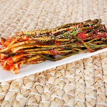 대전 월평동 선화동 실비 원조 조풍연실비김치 매운 파김치 500g, 1팩