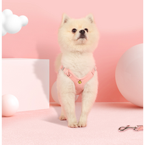 팝펫 강아지 하네스+리드줄 세트, 파스텔 체크 블루