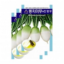 아시아종묘 채소씨앗 - 무씨앗 동치미무-천명무 (2000립x3)