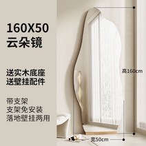 동서가구 라일 소나무 원목 인테리어 스탠드 400 수납 전신 거울, 클라우드 모델 160x50