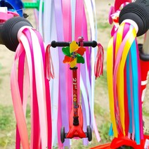 킥보드 스트리머 악세사리, 레드핑크