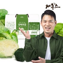 제주스 제주 유기농 양배추즙, 30개, 80ml