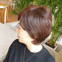 가발프랜즈 여자보브컷 커트머리펌 통가발 중년여성가발 뽕머리 세련된헤어, 1개, HP-27(브라운)