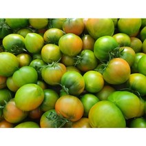 대저 짭짤이 토마토 짭짜리 2.5kg, (2S사이즈) 소과