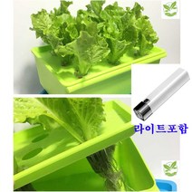 라이트포함 자동수경재배상자 가정용식물재배상자 실내채소키우기, 펌프 버젼 라이트포함