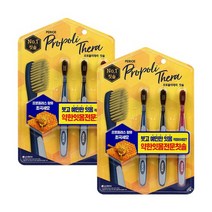 [내일도착] 페리오 프로폴리테라 칫솔 3입 1+1, 페리오 프로폴리테라 칫솔 3입 x 2개