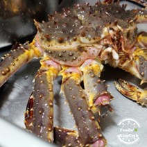 푸디앤 수율좋은 살아있는 브라운 킹크랩 2.0kg 일주일 한정특가