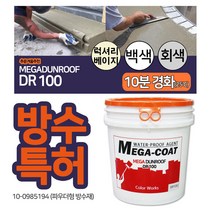 메가 던롭 DR100 20kg 특허방수 몰탈 에폭시 우레탄, DR100(백색) 20KG + 방수키트 10L