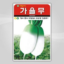슬로시 슬로시 김장 채소 씨앗 무 배추 당근 씨 종자, 가을무300립(아람)