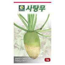 두메 부추 100립 부추씨앗 부추씨 야채씨 야채씨앗 채소씨 채소씨앗, 03_다농_사탕 무(3g)