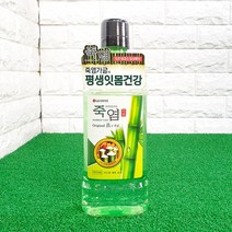 LG 죽염가글 오리지널 진750ml, 750ml