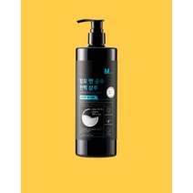 남성 전문 약산성 저자극 탈모완화 편백샴푸 500ml, 1개