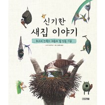 신기한 새집 이야기:최고의 건축가 새들의 집 짓는 기술, 사계절