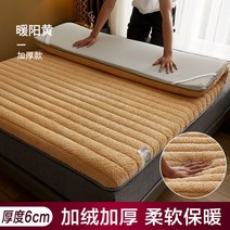 家用加厚羊羔绒软垫褥子冬季宿舍单人床垫子学生租房专用保暖垫被