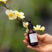 유안재 나이아신아마이드 비타민 B3 미백앰플 26g, 1개