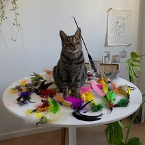 고양이 장난감 3단 2.6미터 낚시대 깃털 68종 이갈이 움직이는 인형 금붕어 캣잎 퍼즐, 깃털1