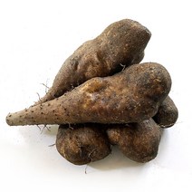 보람농장 산마 중품 5kg, 1개