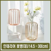 유리 스틸 화병 새장 스타일 실내 장식용 예쁜 꽃병, 하나, 골드