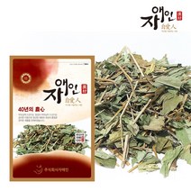 자애인 국산 삼백초 300g 청성초 경북영주, 1개