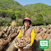 태평가 건조 표고버섯 500g 1kg 유기농 인증 건 표고