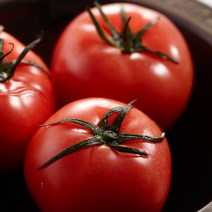 찰토마토 5kg 10kg, 1box, 5kg 대과 (1~2번)