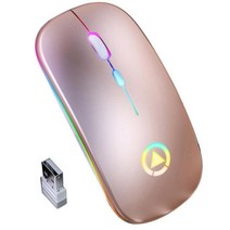 게이밍마우스 게임용 컴퓨터 24GHz 무선 마우스 RGB 충전식 자동 Mause LED 백라이트 인체 공학적 게임 노, 04 04, 한개옵션1