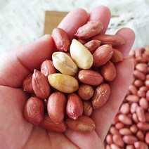 [산지직송] 좋은물과 흙이 만들어낸 땅콩! 22년 여주 햇 볶음 땅콩 500g, 1개