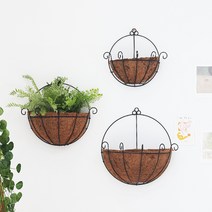 행잉플랜트 코코넛 반달 벽걸이화분 25cm, 단품