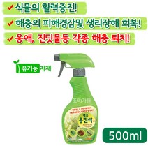 [조이가든] 응진싹- 500ml