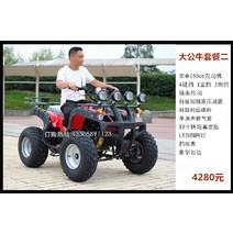 전기 가솔린 사발이 오토바이 입문용 사륜 바이크 4륜 스쿠터 역삼륜 4발 산악용 ATV, 빅불 패키지 2