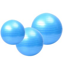위dhns_안티버스트 짐볼 요가볼 필라테스볼 블루 55cm 탱탱한볼 운동볼 볼운동 스트레칭볼 튼튼한볼 헬스볼♥dhn, ♥happynesss