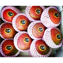 MSC 애플망고 페루 직수입, 1box, 애플망고 4kg (8-10과)