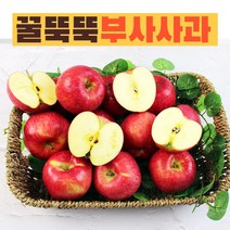 청송 꿀 부사 사과 3kg 5kg 10kg 정품, 꿀사과 3kg, 1개