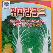 [가람종묘사] 휘파람골드배추 씨앗2000립(뿌리혹병 맛 좋은 속노란 김장 전용배추 품종)
