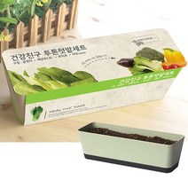 나nanr_아파트 텃밭 가꾸기 세트 상추키우기 베란다가꾸기 새싹재배 씨앗 채소 모종 키우기 청경채키우기♥sksnfll, ♥sksnfll열매친구