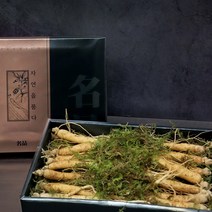 국내산 수삼 인삼 6년근 생삼 생인삼 300g 10~13뿌리 강원도 자연산 인삼튀김 인삼주 담그는법 효능 삼계탕 토종 산지직송 부모님 건강 선물세트 추천, 1세트, 300g 10-13뿌리