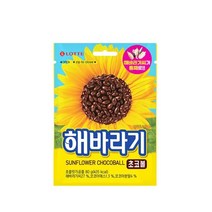 해바라기 초코볼 80g, 상세페이지 참조