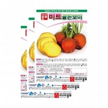 채소씨앗 - 노란 비트씨앗 골든보이 비트(100립x3)