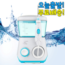 구강세정기 스케일링기계 치간 치아 세정기 물양치 물칫솔 워터핏 워터펄스